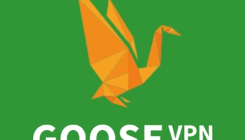 GooseVPN, Rezension 2025