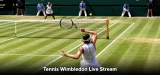 Livestream Wimbledon 2023: So kannst du die Tennis Turniere online verfolgen!